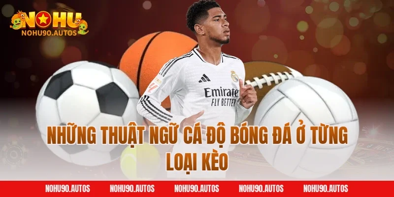 Những thuật ngữ cá độ bóng đá ở từng loại kèo